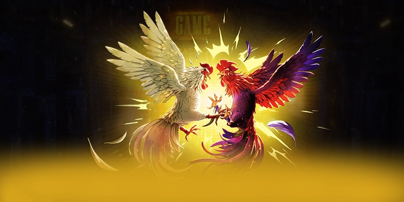 8XBET - Nhà cái cung cấp dịch vụ cá cược toàn diện tại Việt Nam 8XBET - Nhà cái cung cấp dịch vụ cá cược toàn diện tại Việt Nam